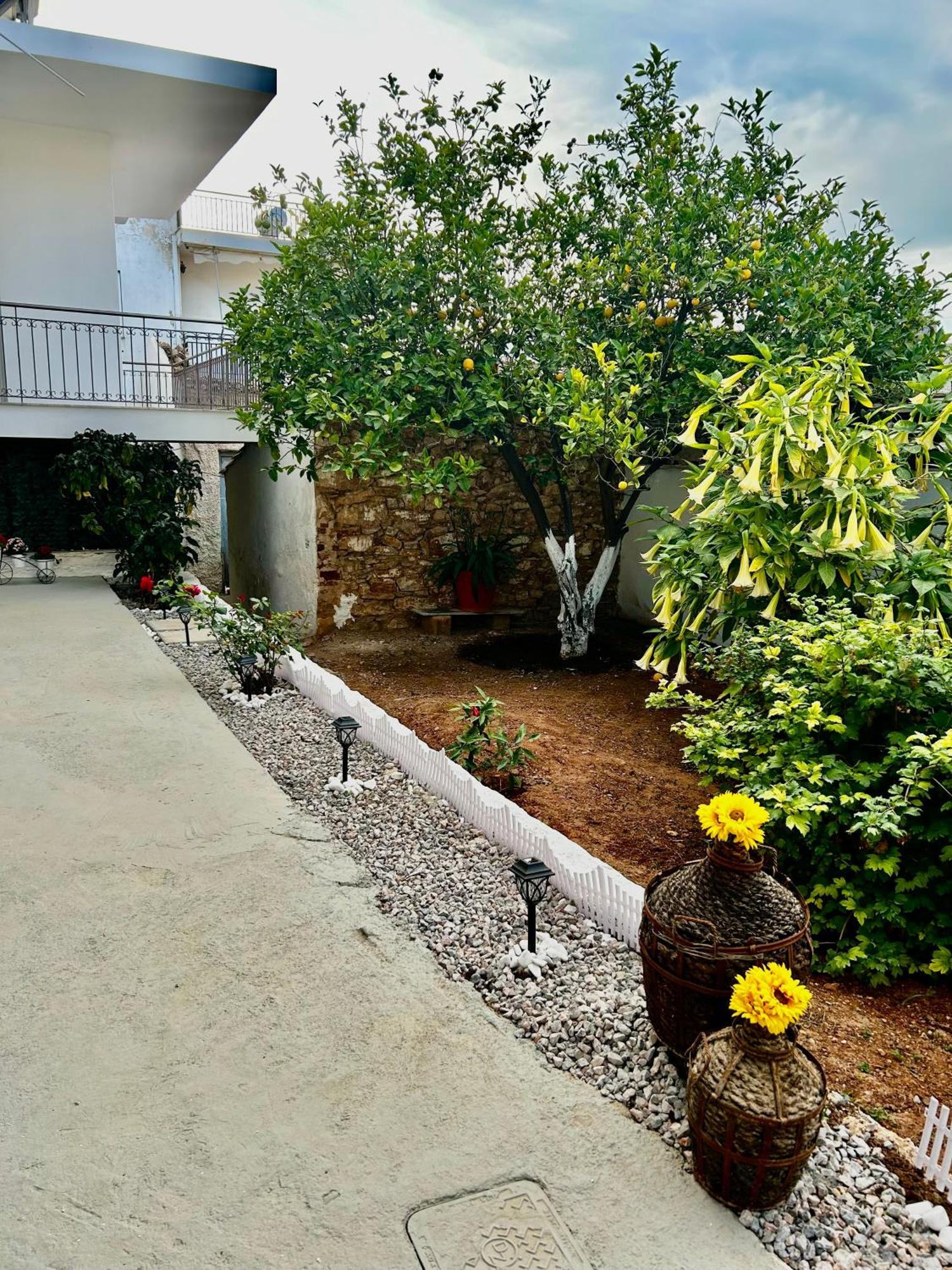 Flower House In Koropi-Near Airport Екстер'єр фото